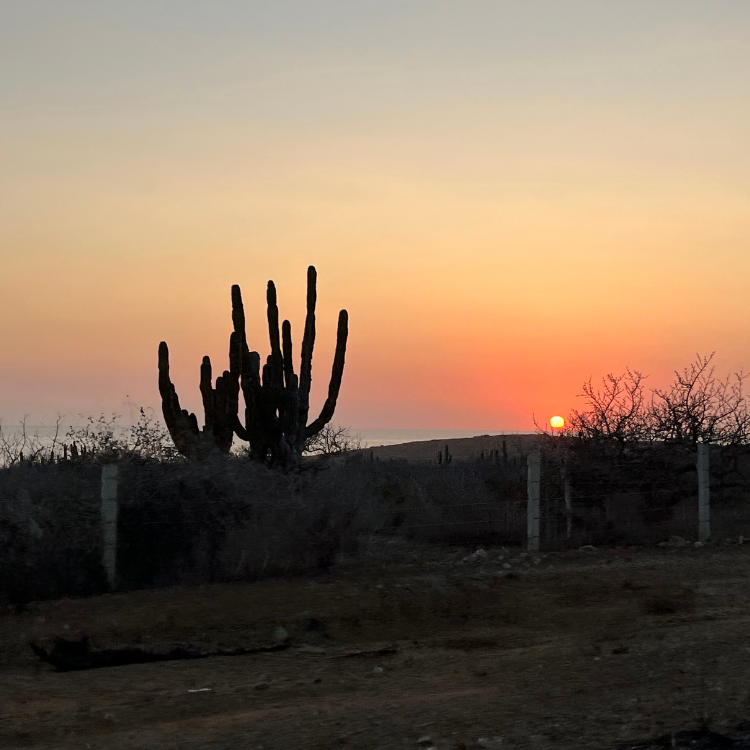 Experience Cabo San Lucas