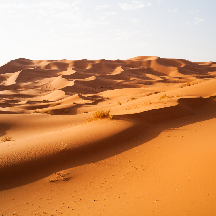 Morocco 2026