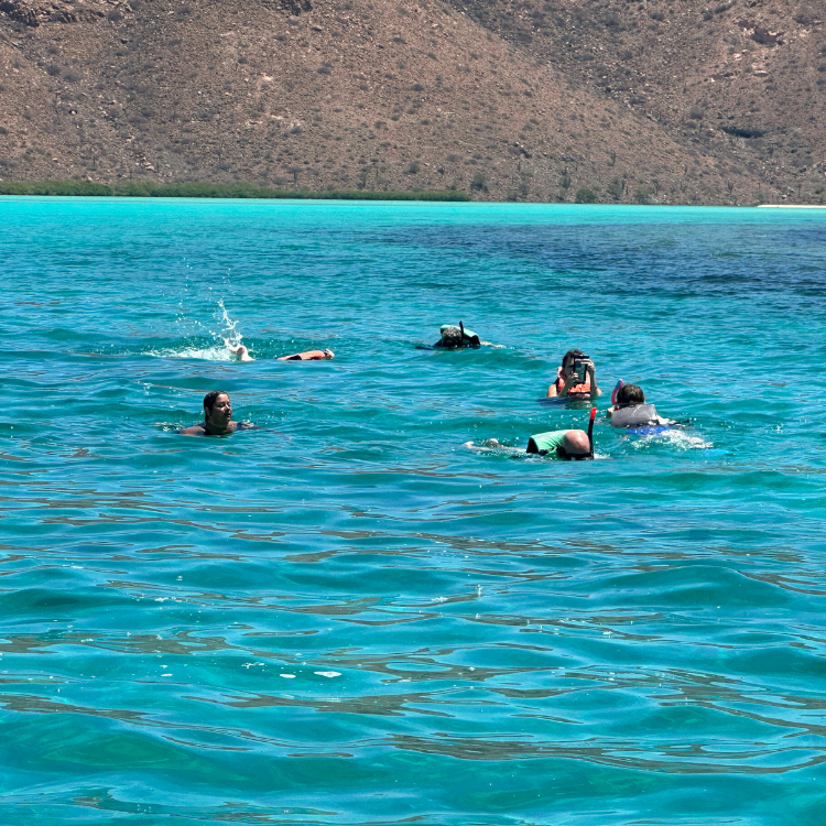 Experience Cabo San Lucas