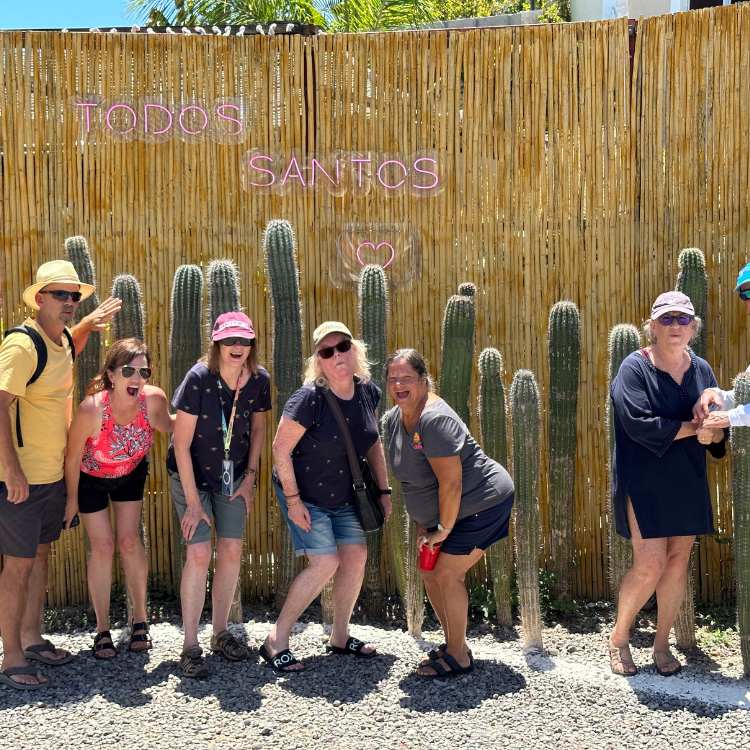 Experience Cabo San Lucas