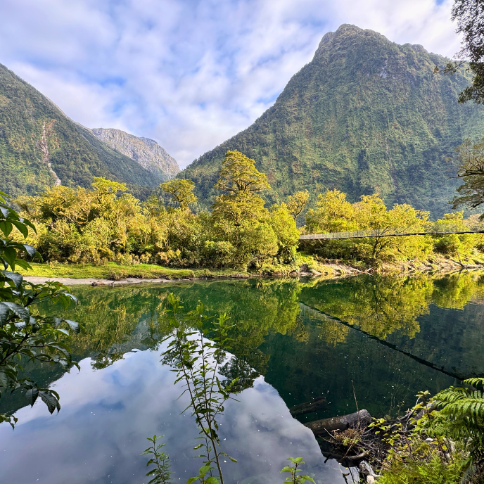 Milford Great Walk
