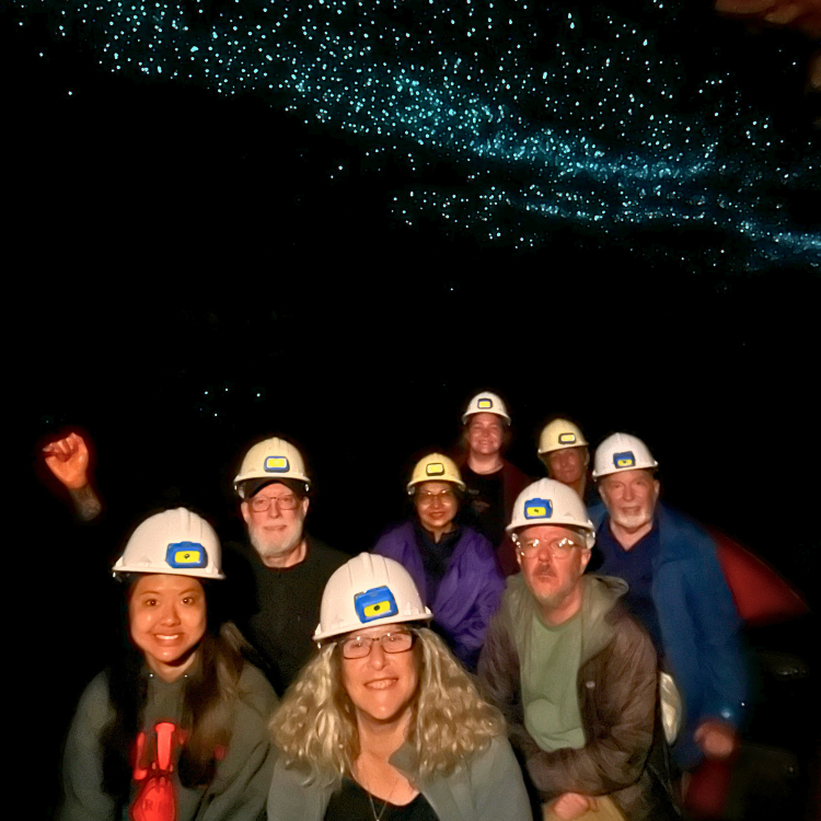 Discover Aotearoa