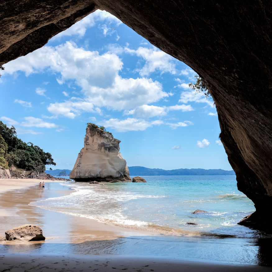Explore New Zealand