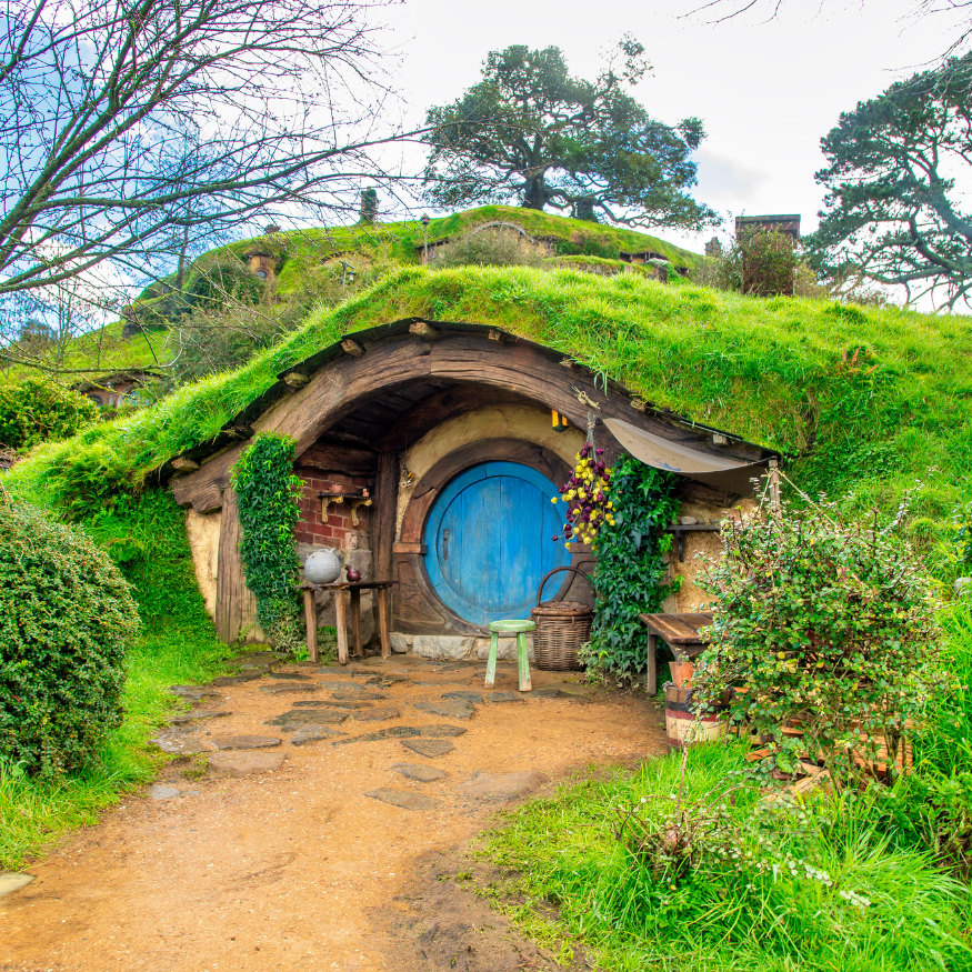 Explore New Zealand