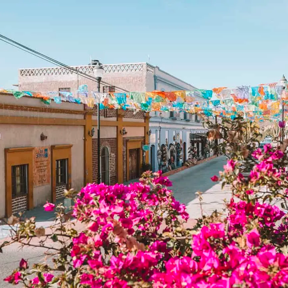 Experience Cabo San Lucas
