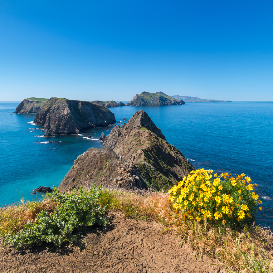 Sailing Channel Islands