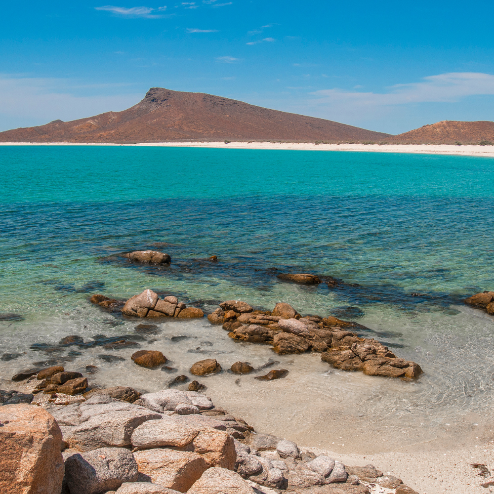 Experience Cabo San Lucas