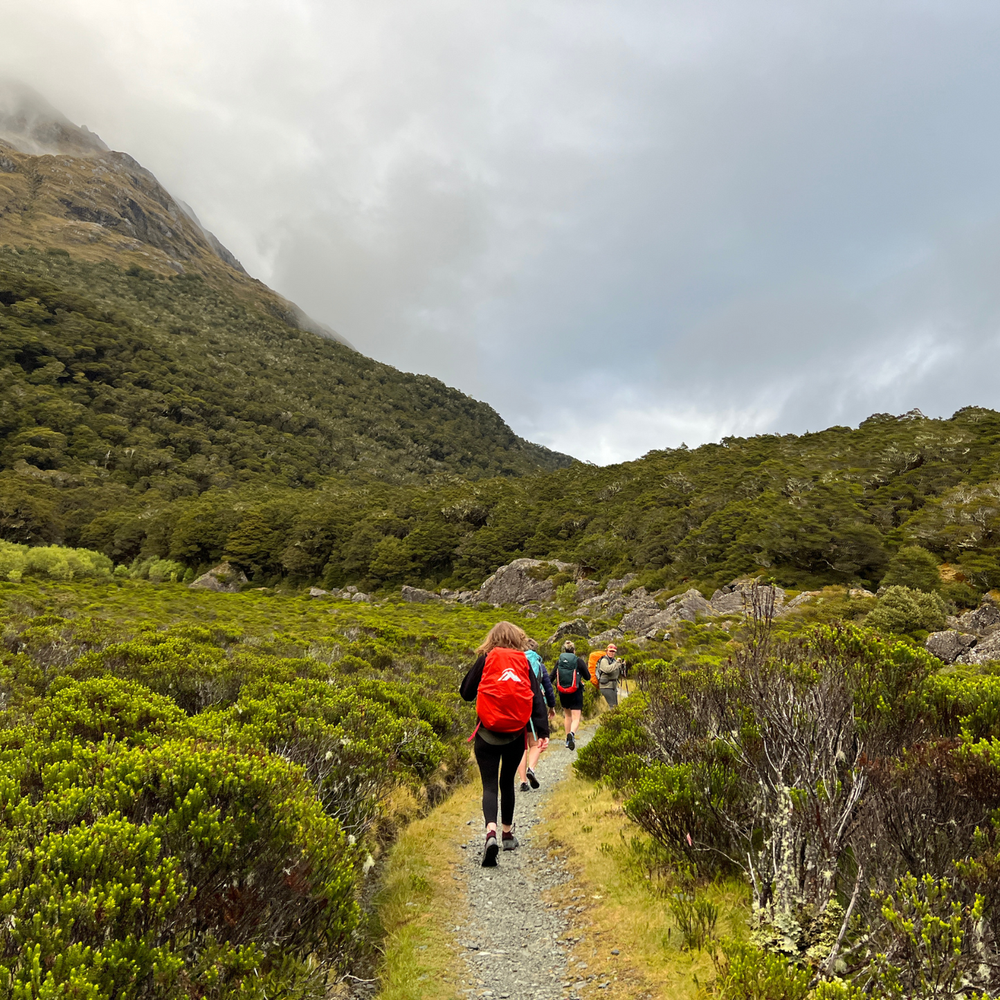 Routeburn Great Walk