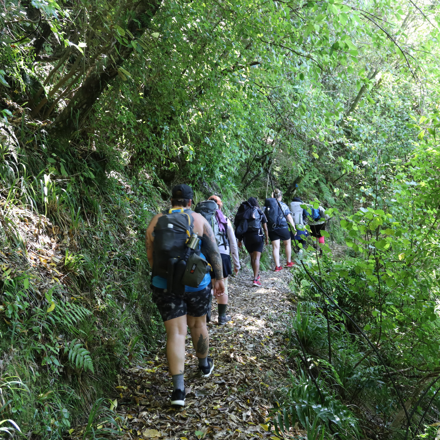 Abel Tasman Great Walk 2021