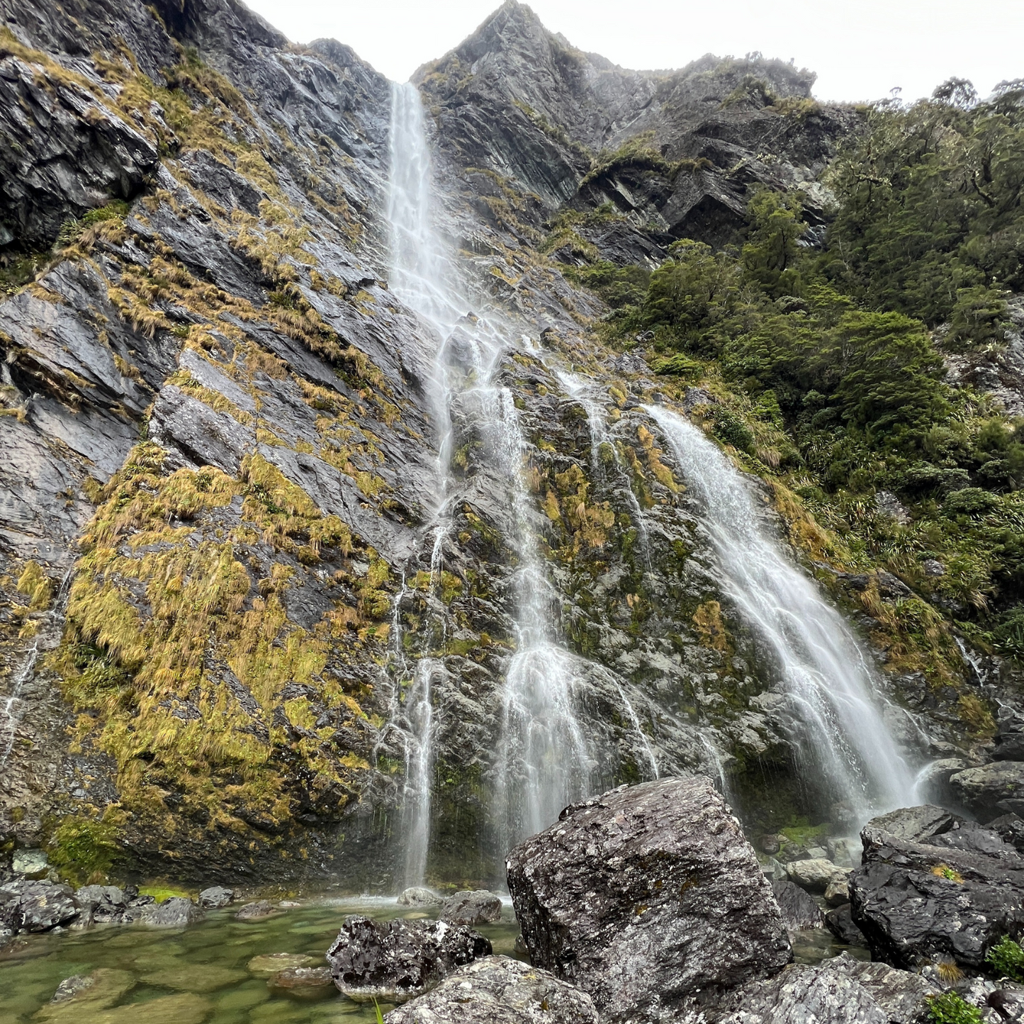 Routeburn Great Walk