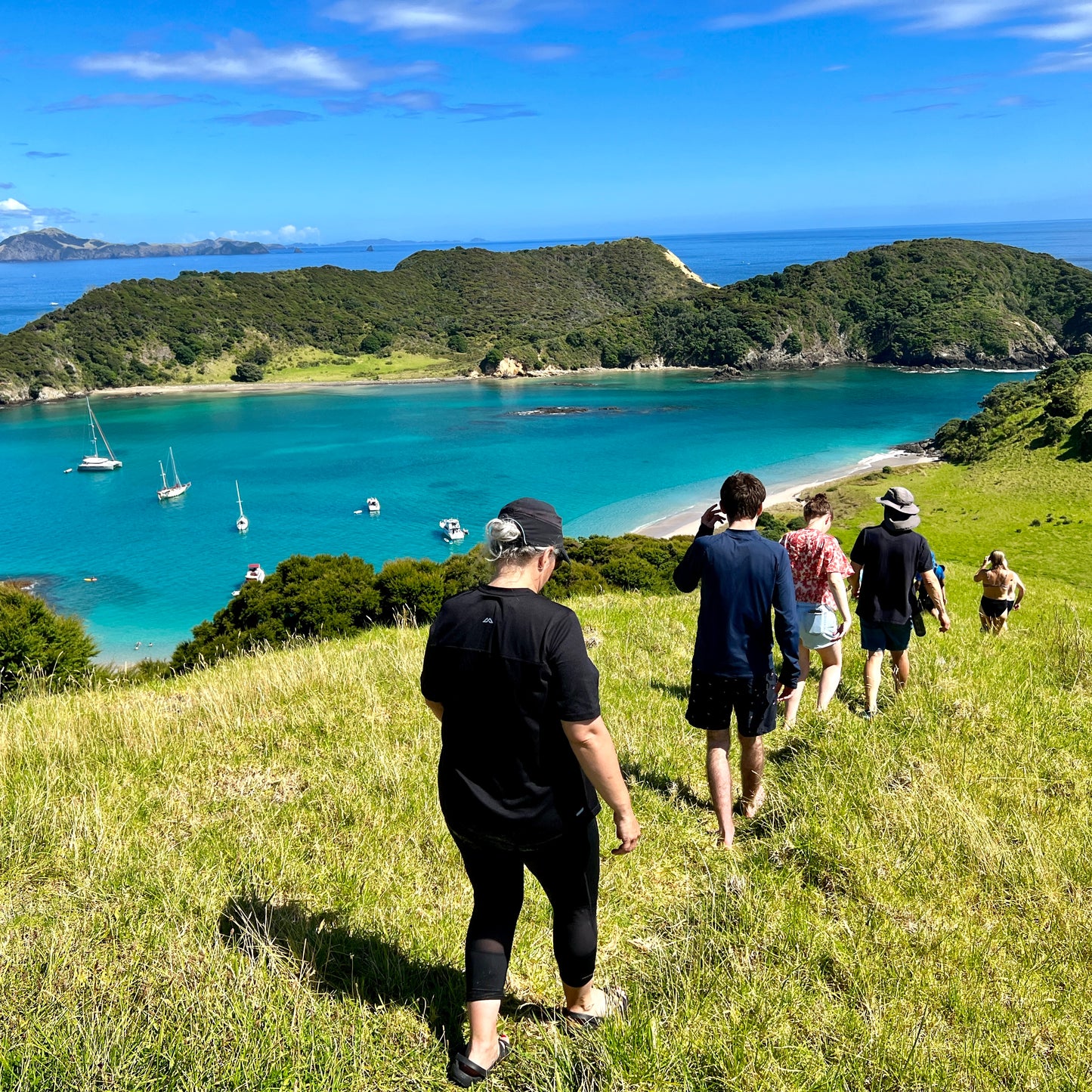 Cruising Bay of Islands 2023
