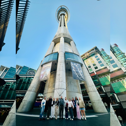 Half Day Tour of Auckland