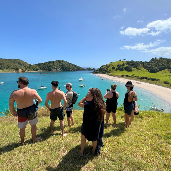 Cruising Bay of Islands 2024