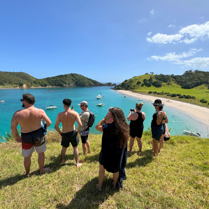 Cruising Bay of Islands 2024